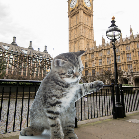 Cardboard cutout of a cat in front of Westminster