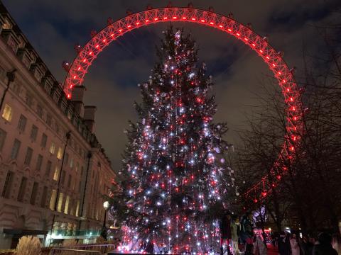Waterloo Christmas tree in front of the London Eye