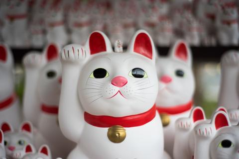 fortune cat