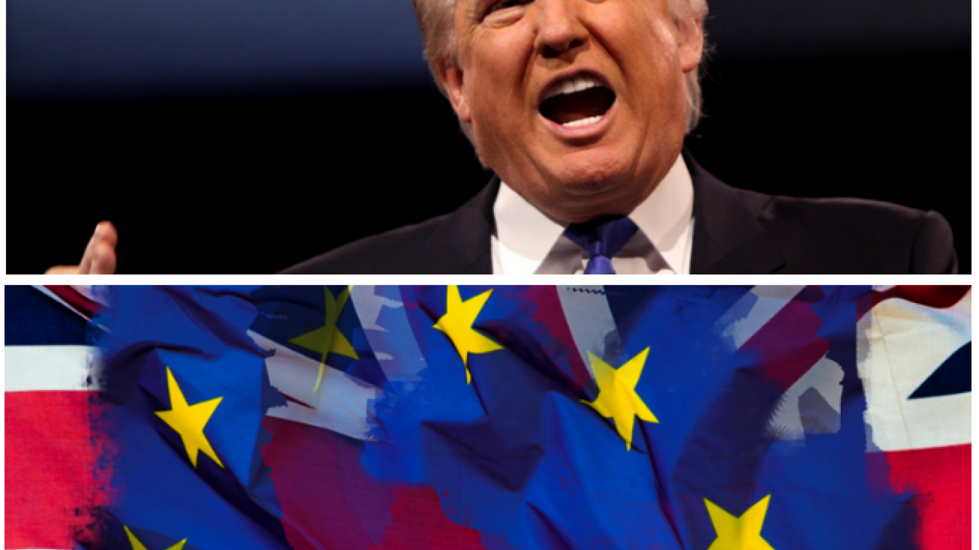 How Should Charities Respond To Brexit And Trump-in? | NfpResearch