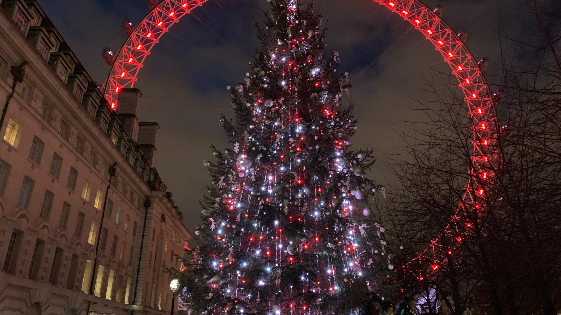 Waterloo Christmas tree in front of the London Eye